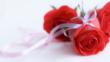 red-roses