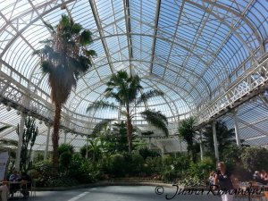 10_Glasgow_JuanaRomandini
