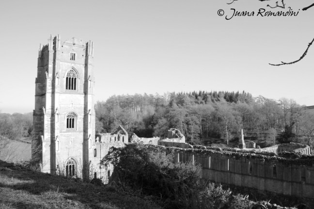 07North-Yorkshire_050415