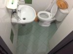 tinytoilet