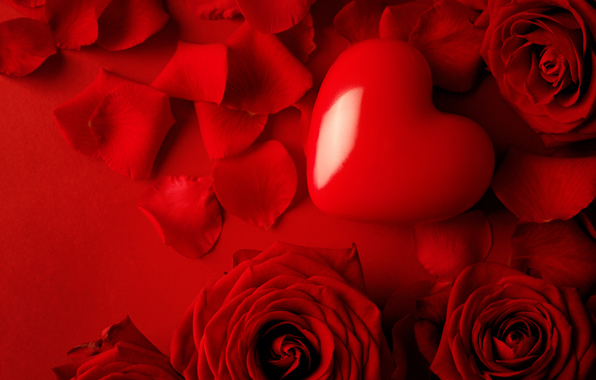 red-roses-heart
