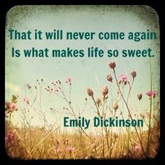 emily-dickinson-quote